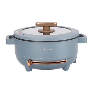 Hot Trend Electric Stove Cooker Frying Pan Small Kitchen Appliances with Food Steamer for Household Appliances Home