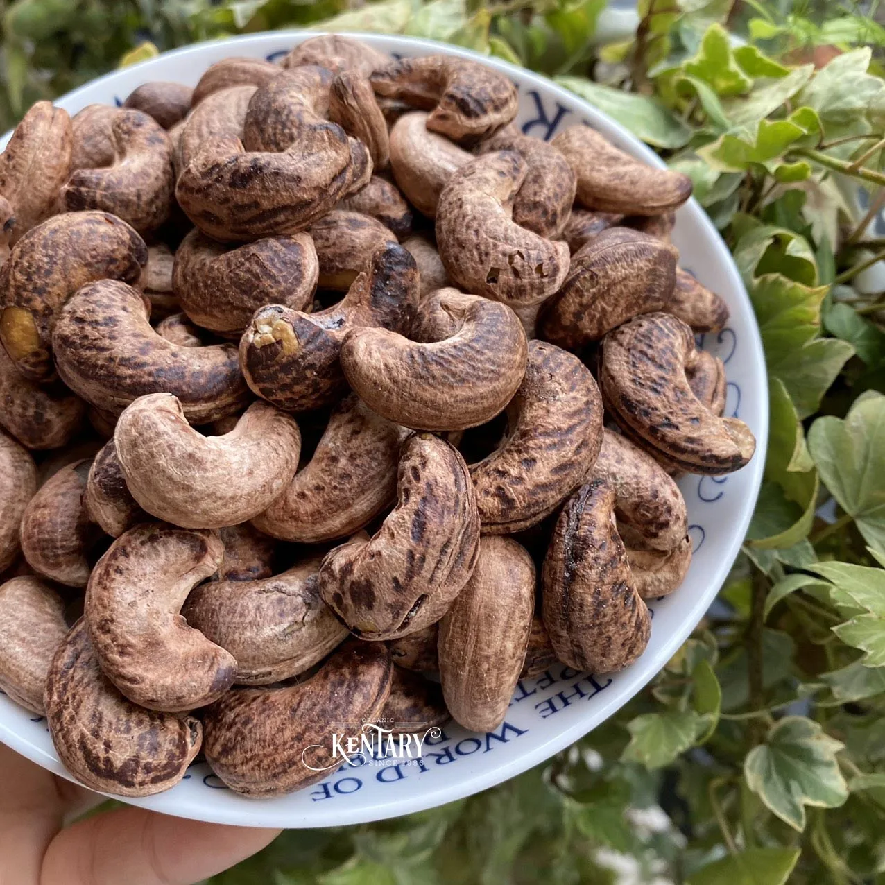 Bulk Roasted Charcoal Cashew With Skin Fresh Vietnam Wholesale Nut Snacks Salt Baked Nuts for Snack Raw Processed Cashew Nut