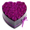 Purple Color