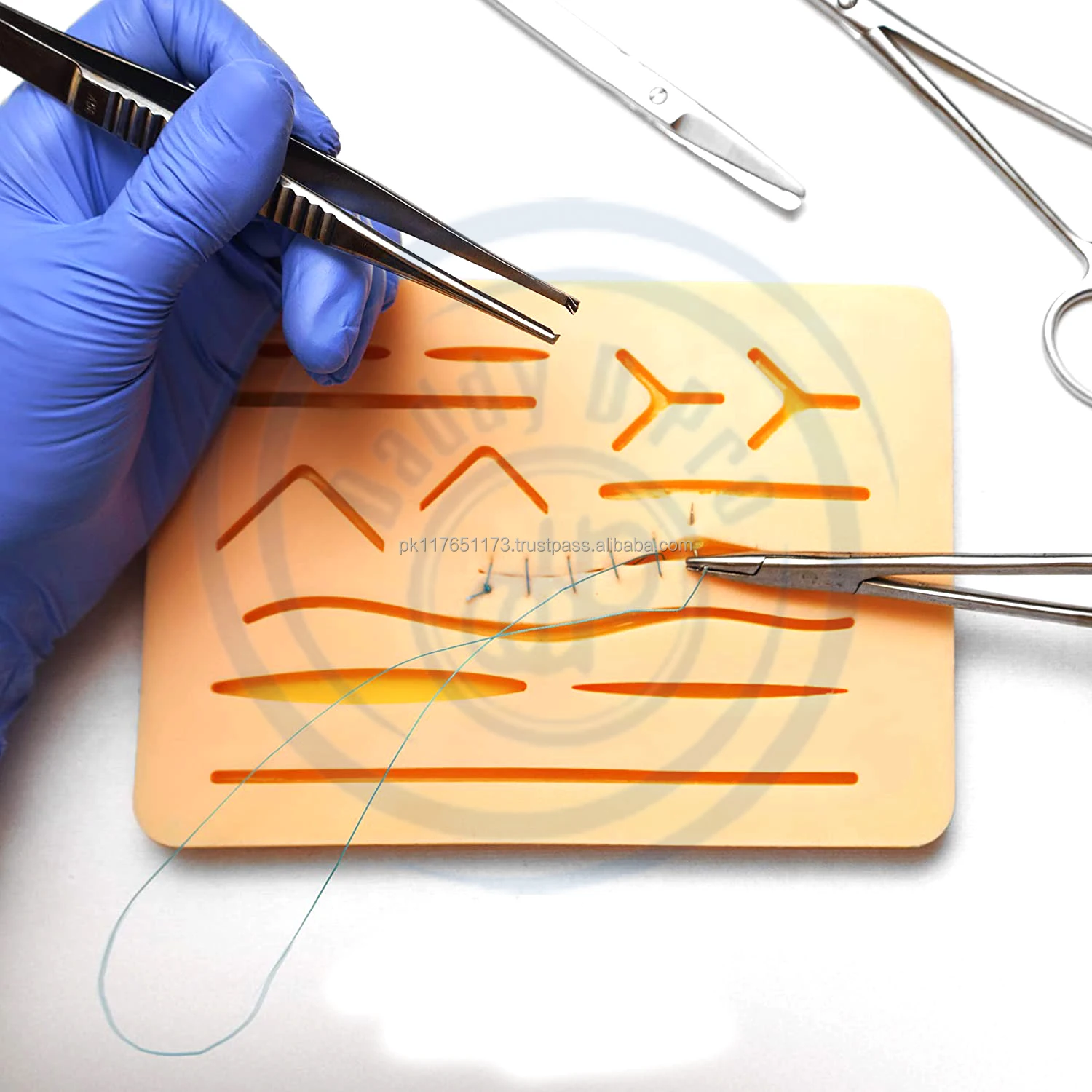 Oem Kit De Suture Cirurgica Premium De Alta Qualidade Medical Students