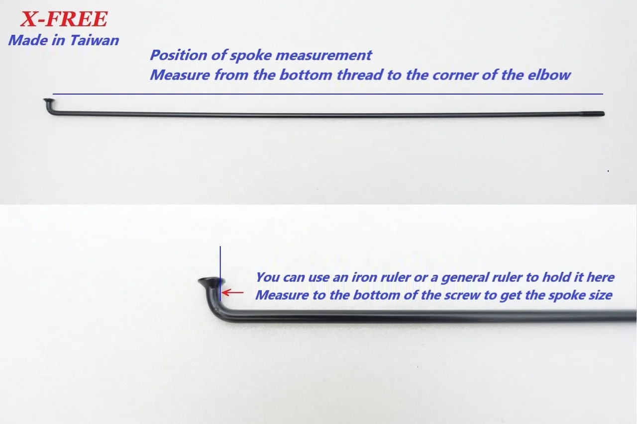 B11-33_X-FREES14 4.jpg