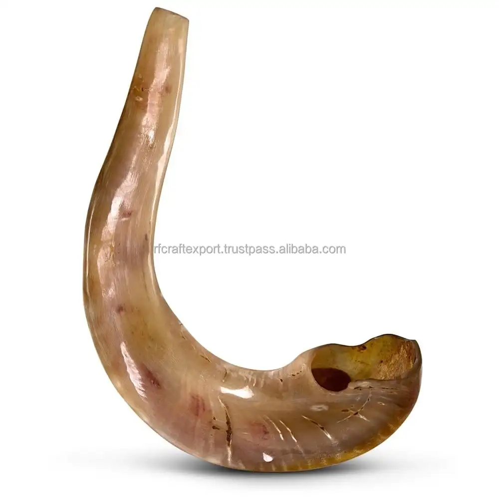 Natural Black Ram Horn Shofar Traditional Musical Instrument For Jewish