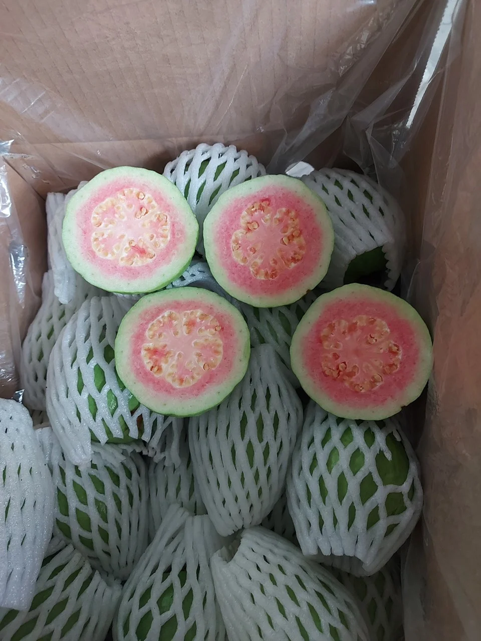Fresh White/Pink Guava From Mekong Delta Vietnam Is Ready to Export Worldwide Selling in Bulk