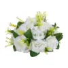White Color