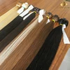 Ombre #1B/613