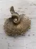 Laiton antique
