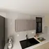 White Oak Color