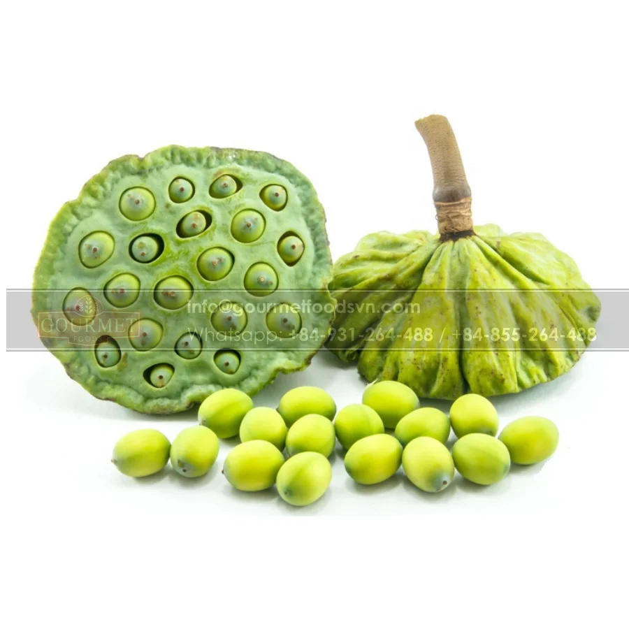 Delicious Lotus Seed Contains Kaempferol,A Natural Flavonoid That Helps