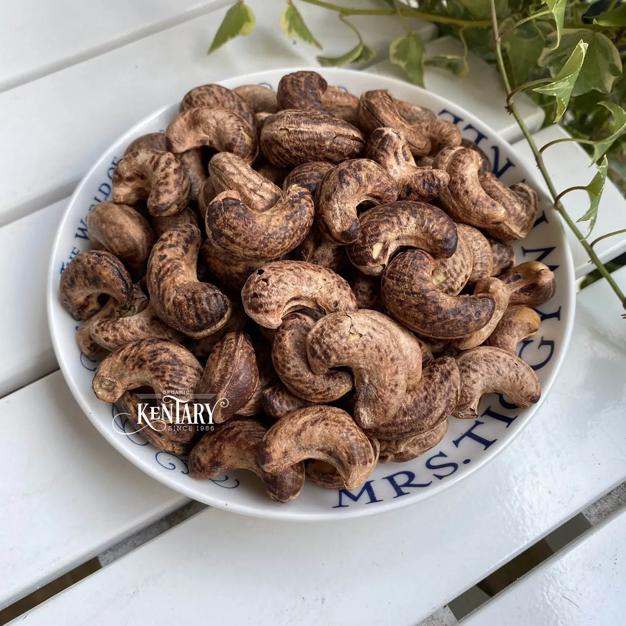 Bulk Roasted Charcoal Cashew With Skin Fresh Vietnam Wholesale Nut Snacks Salt Baked Nuts for Snack Raw Processed Cashew Nut