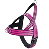 Reflective Pink