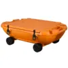 Orange Color