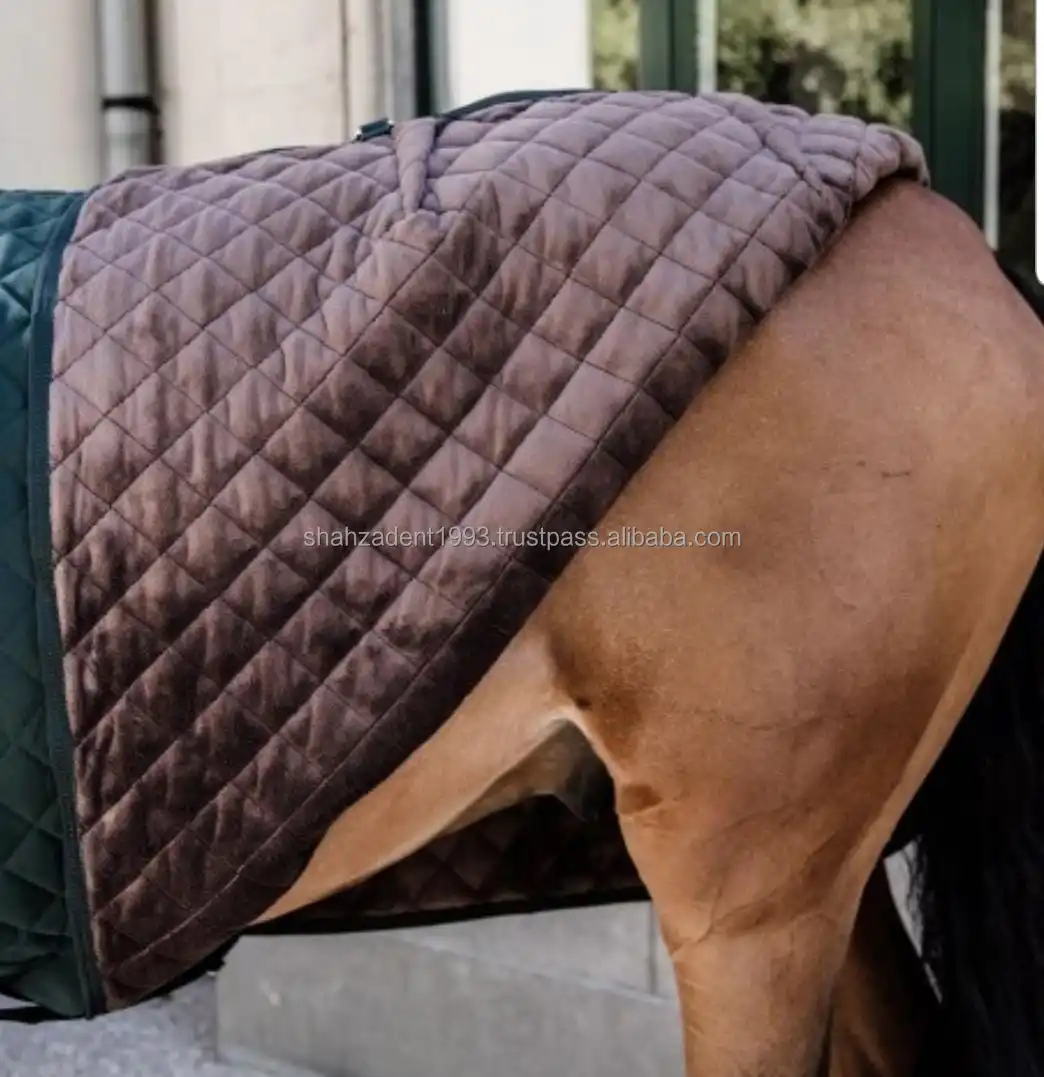 What Size Rug For 15 2 Irish Sports Horse at Edward Calvo blog
