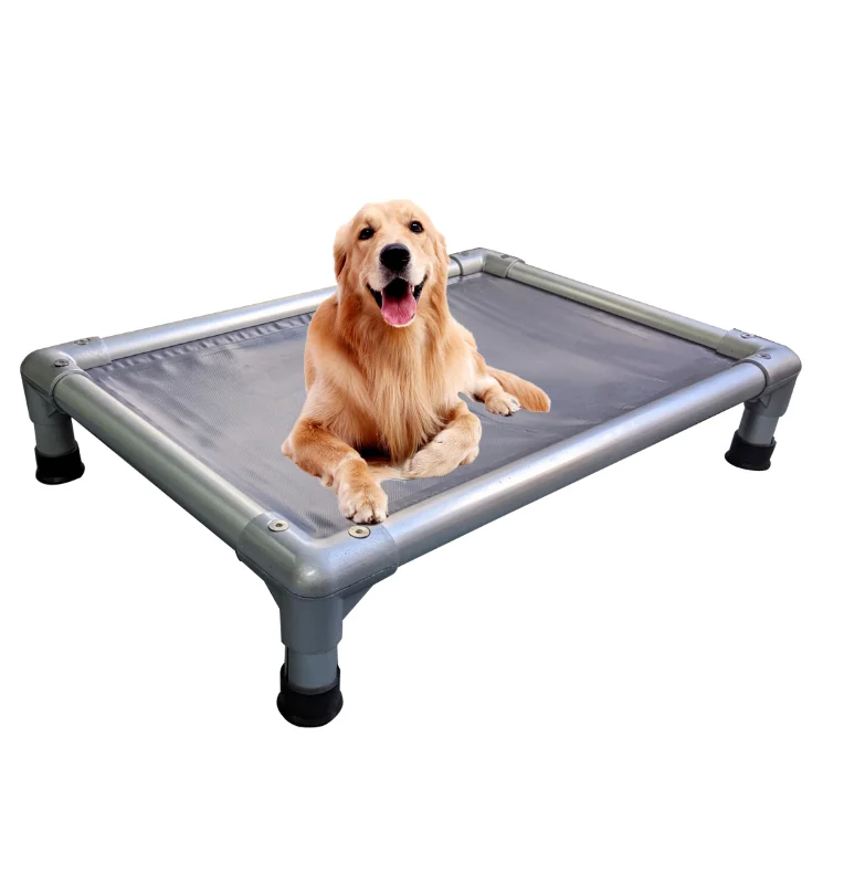 labrador trockenfutter Black Canyon Labrador Truthahn & Lachs – Getreidefrei main image 0