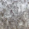 Atlantic grey