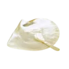 As photo