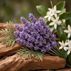 Lavender marine