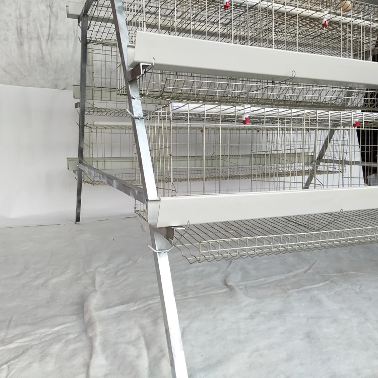 10000 Birds Automatic Chicken Egg  Layer Cages  System Laying Hens Animal  Poultry Battery Cages for Poultry Farm Prices
