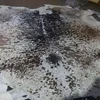 Dark Brown, Black & Cream