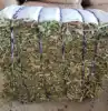 100 kgs