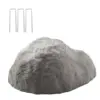 Dark Gray Color