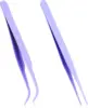 VIOLETA