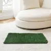 As Picture Color