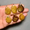 Ammonite Cabochon Fossiles Coquille de Pierre Précieuse Naturelle