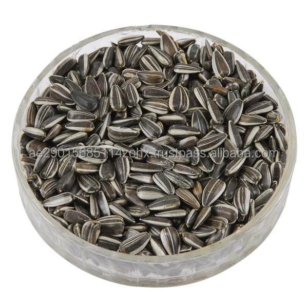 sunflower seed supplier.jpg
