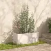 White Color