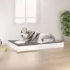 White Color
