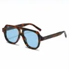 C5: Tortoise/ Blue
