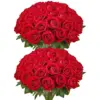 Red Color