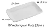 10-inch rectangular Plate (plain)