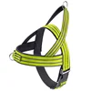 Reflective Green