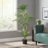Green Color