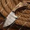 Ram Horn