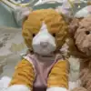 Chat au gingembre Fuddlewuddle