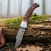 Rosewood , Blue & Red Wood