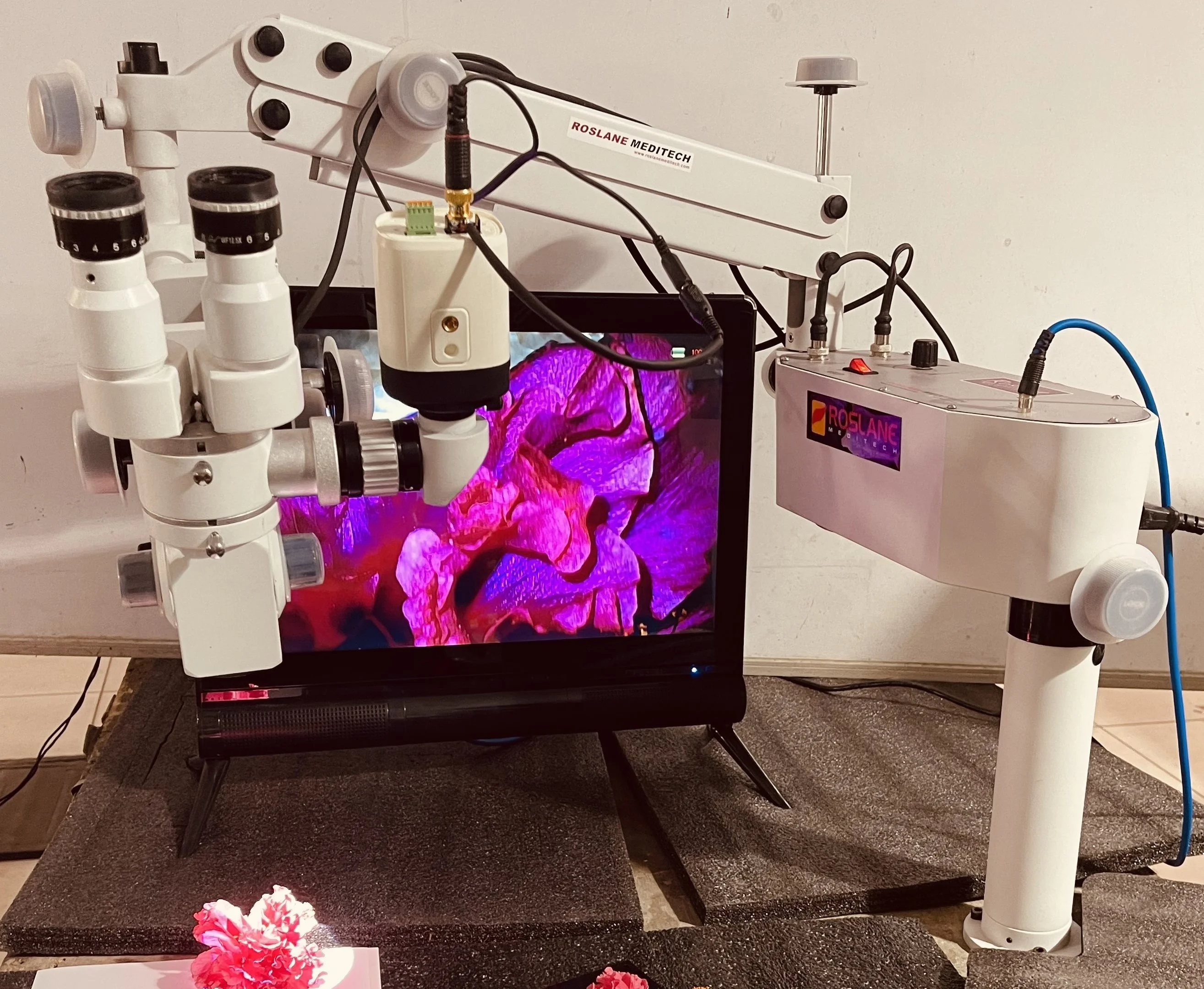 Microscope Chirurgical ORL Binoculaire Sur Pied, Mise Au Point Fine Manuelle - Neuf, Livraison Gratuite