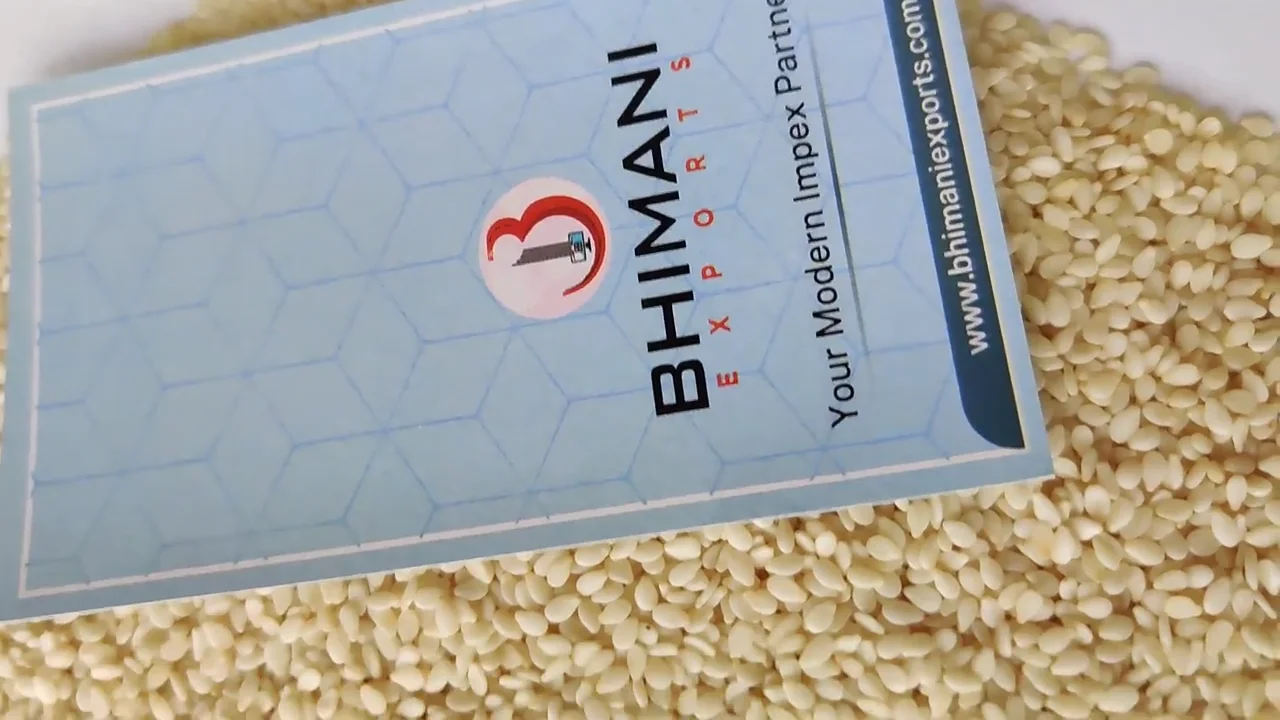 Premium Quality 2023 Fresh Pure Sesame 100 Natural Top Garde Wholesale