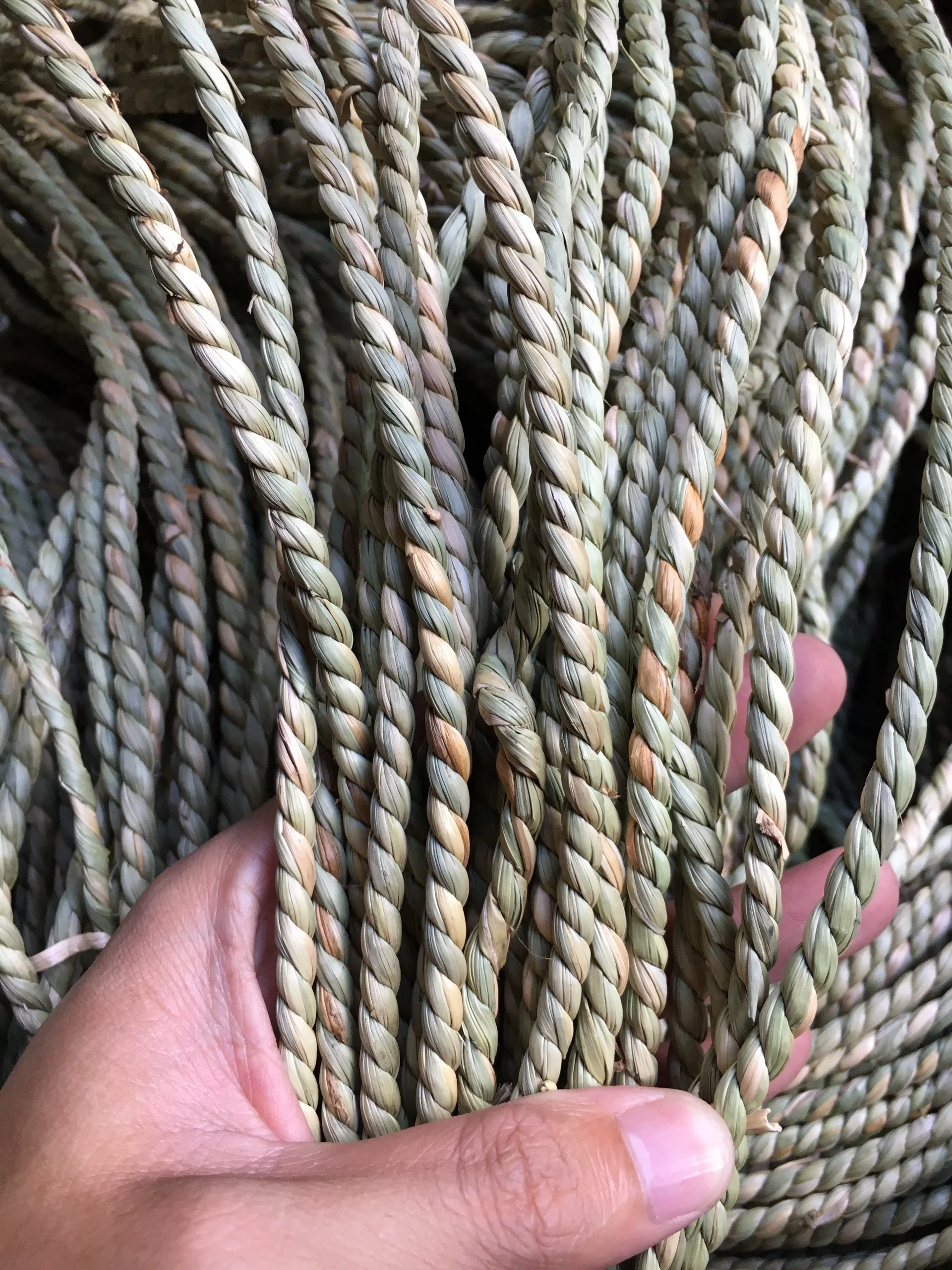 Raw Rope Material Alibaba.com: Vigifarm Natural Seagrass Rope Straw Raw Material ...