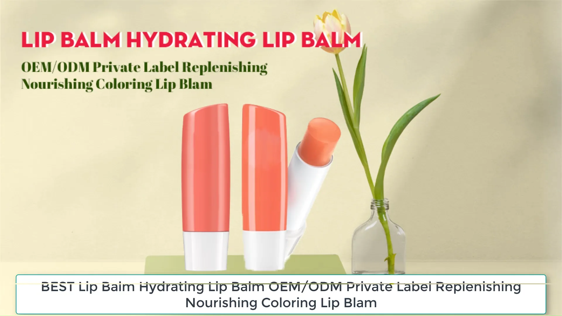 Best Lip Balm Hydrating Lip Balm Oem/odm Private Label Replenishing
