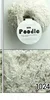 1024 Light Ivory