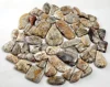 Multi Color, Sold by Weight(grams), 12to14pcs per 100g