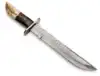 Natural Cream/Brown Stag Horn, Rich Dark Burl Wood