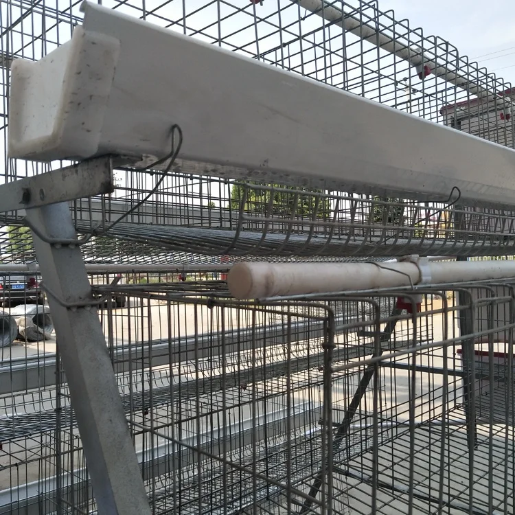 10000 Birds Automatic Chicken Egg  Layer Cages  System Laying Hens Animal  Poultry Battery Cages for Poultry Farm Prices