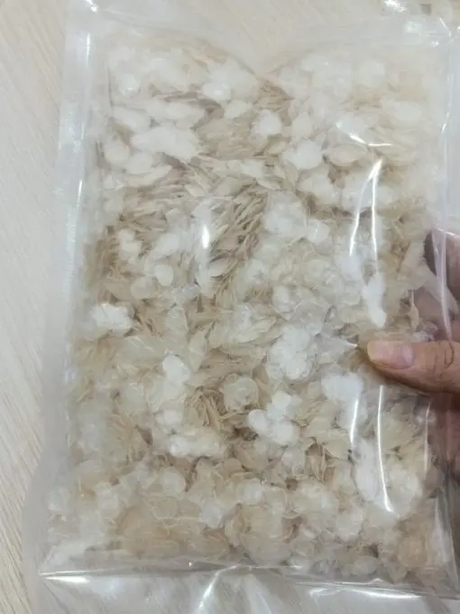 The Best Price Fish Scales From Vietnam -  FISH SCALES POWER - Fish Scales: Types and Functions and Uses  Ms. Lily