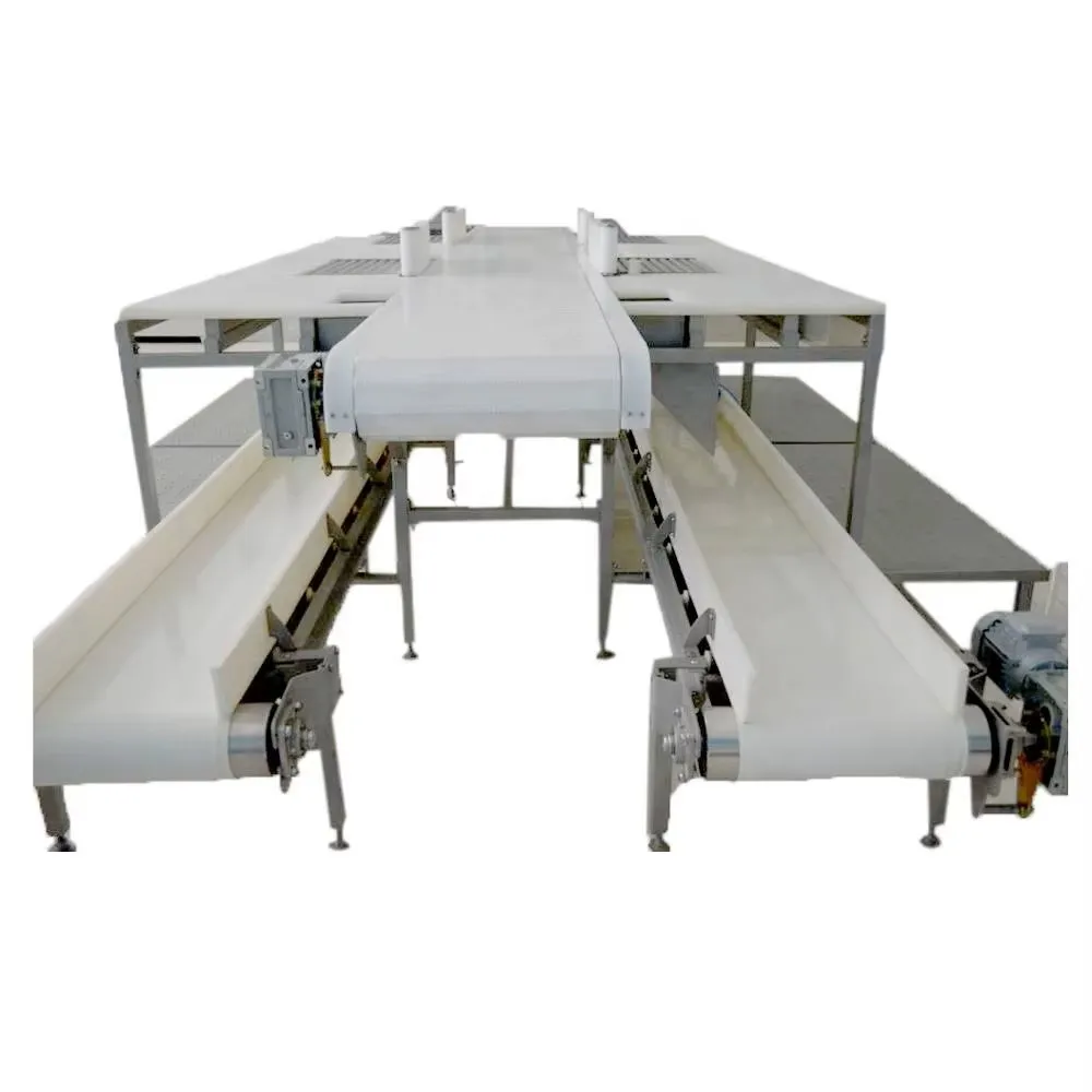 Customized food grade polyurethane conveyors for meat processing and packaging lines