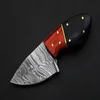 Skinner-1