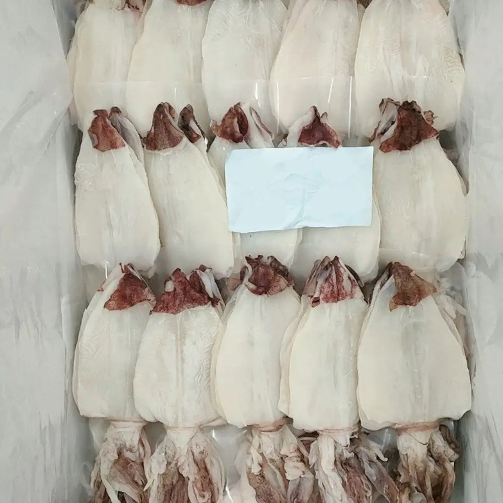 Whole Dry Cuttlefish Seafood Snacks Ready To Export Packaging Type 10kg ...